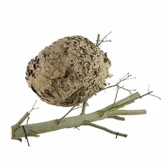 vignette_BA00457.jpg