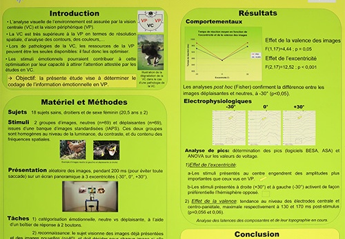 Analyse de scènes visuelles émotionnelles en vision centrale et périphérique